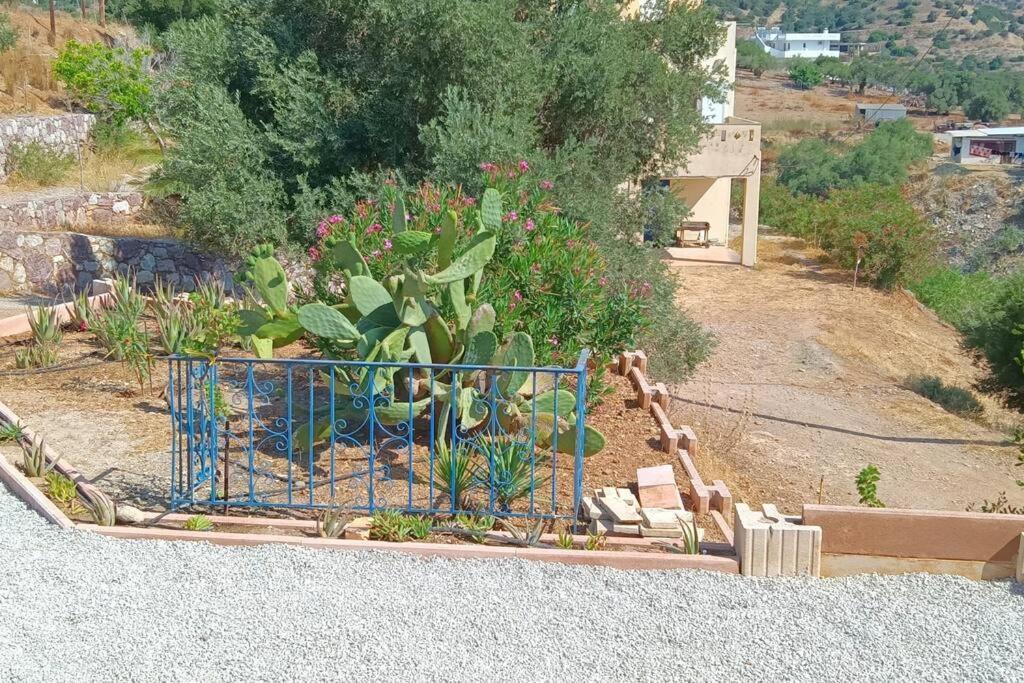 Το Σπίτι Που Σε Ταξιδεύει Villa Agia Galini  Exterior photo